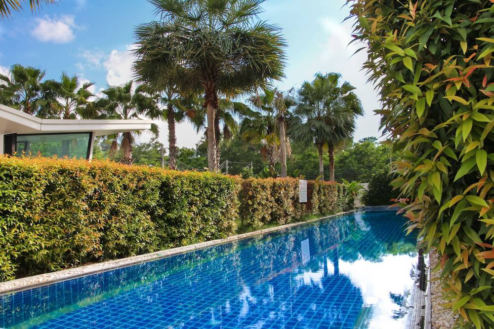 Palmery resort spa the 4 карта