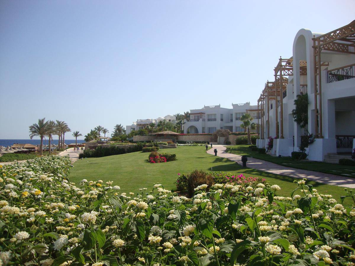 Albatros Palace Sharm 5 Р•РіРёРїРµС‚