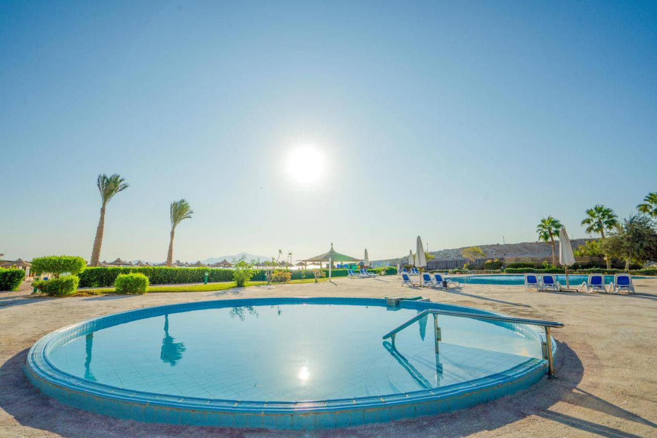 Отель Ivy Cyrene Sharm 4. Ivy Cyrene Island Hotel 4. Ivy Cyrene Island Resort.