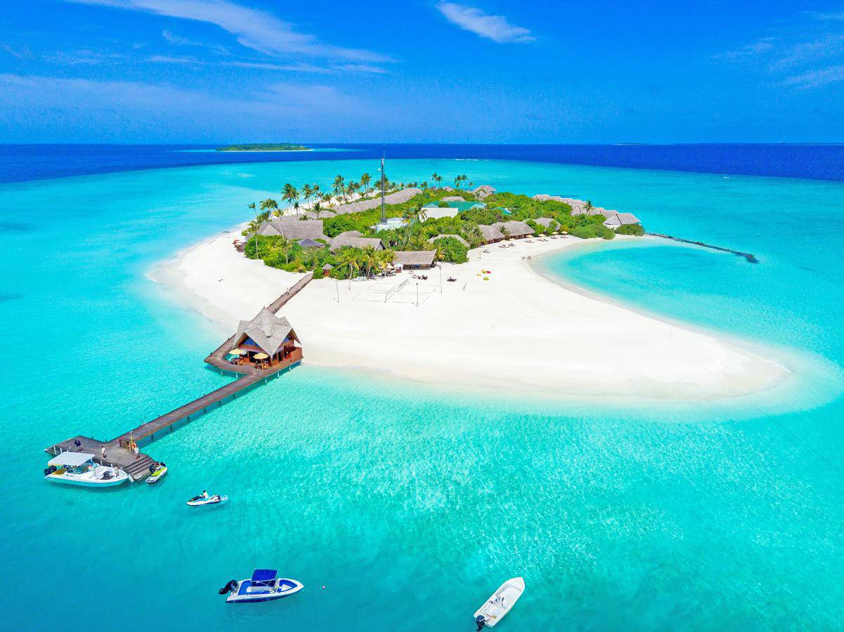 Dhigufaru island. Dhigufaru Island Resort Maldives. Остров Баа Атолл. Остров Баа Мальдивы. Баа Атолл Мальдивы отели.
